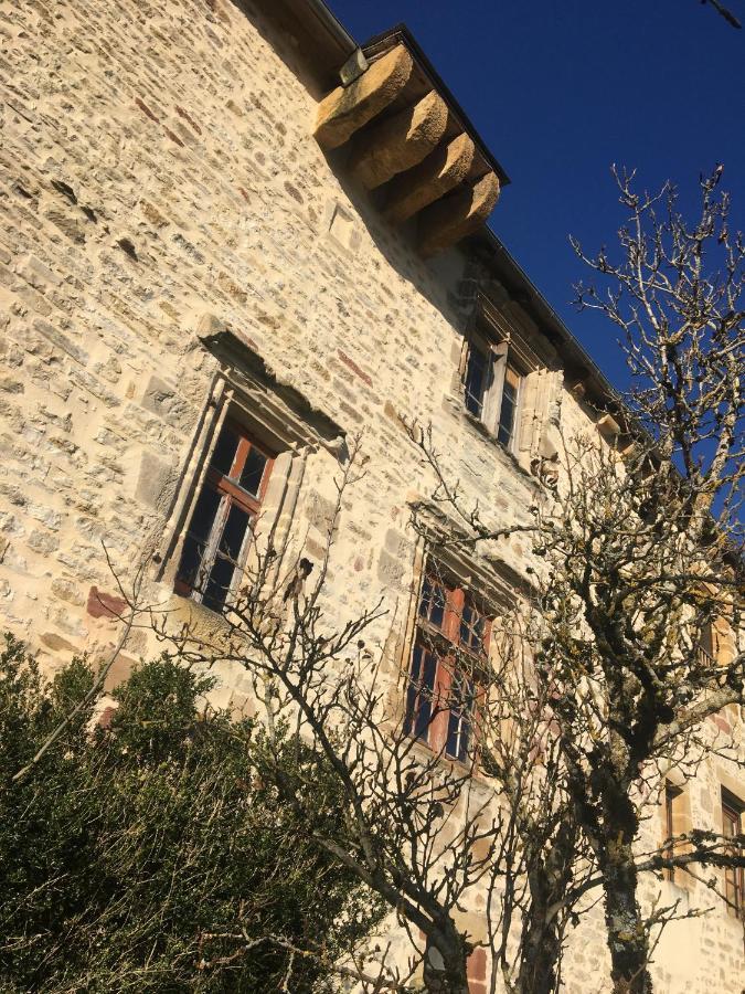 Le Chateau De Lunel Saint-Félix-de-Lunel 외부 사진